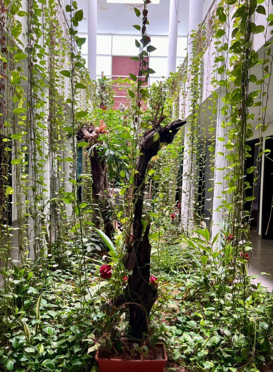 Residence Achenbach アビジャン エクステリア 写真